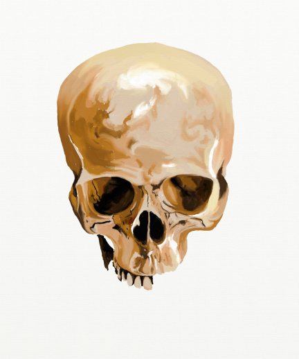 Skull JPEG
